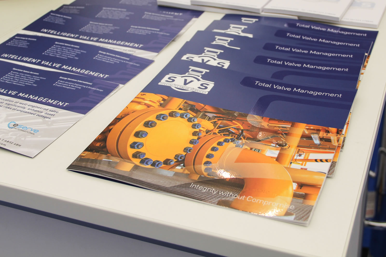 Luminet- Branding and brochure design and development