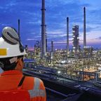 Valve Expertise in Complex and Critical Environments
